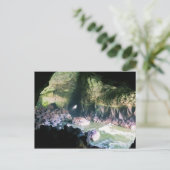 Carte Postale Grotte de lion de mer, OU (Debout devant)