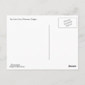 Carte Postale Grotte de lion de mer, OU (Dos)