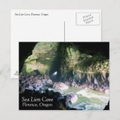 Carte Postale Grotte de lion de mer, OU (Devant / Derrière)