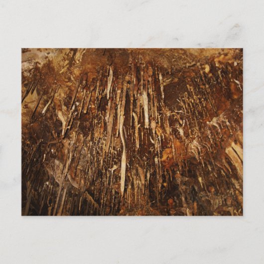 Carte Postale Grotte Lehman (Devant)