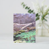 Carte Postale Grotte verte (Debout devant)