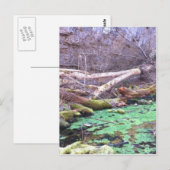 Carte Postale Grotte verte (Devant / Derrière)