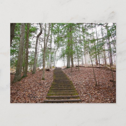 Carte Postale Grotte Whisperer, Hocking Hills State Park, Ohio (Devant)