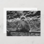 Carte Postale Grottes de Batu (Devant / Derrière)