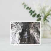 Carte Postale grottes de batu malaisie (Debout devant)