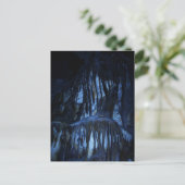 Carte Postale Grottes de Lehman (Debout devant)