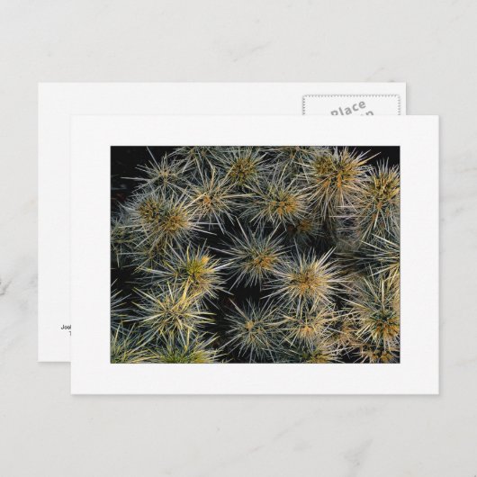 Carte Postale "Groupe Aïe" (Devant / Derrière)