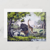 Carte Postale Groupe d'animaux (Devant / Derrière)