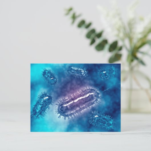 Carte Postale Groupe De Cellules Bactéries Escherichia Coli 1 (Debout devant)