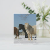 Carte Postale Groupe de Chevaux miniatures dans la neige (Debout devant)