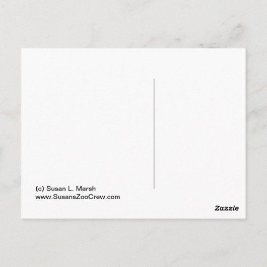 Carte Postale Groupe de Flamants roses roses, beaucoup de flaman (Dos)