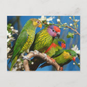 Carte Postale Groupe de Histoires (Devant)