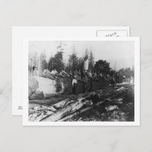 Carte Postale Groupe de Lumberjacks sur une grande photo en rond (Devant / Derrière)