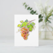Carte Postale Groupe de raisins (Debout devant)