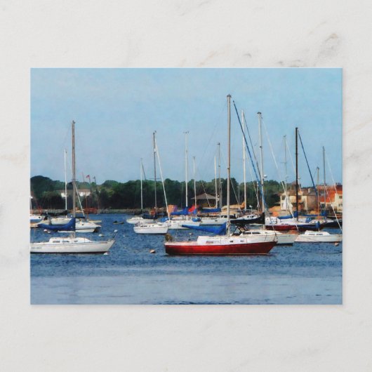 Carte Postale Groupe de Sailboats Newport (Devant)