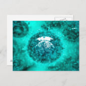 Carte Postale Groupe De Virus H5N1 Avec Vue Glasseuse 2 (Devant / Derrière)