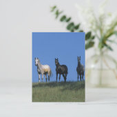 Carte Postale Groupe des Arabes (Debout devant)