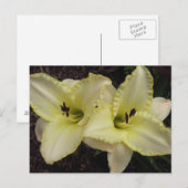 Carte Postale Groupe mariage - Daylily (Devant / Derrière)