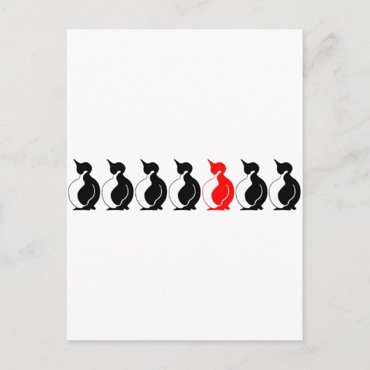 Carte Postale Groupe Pingouin rond (Devant)