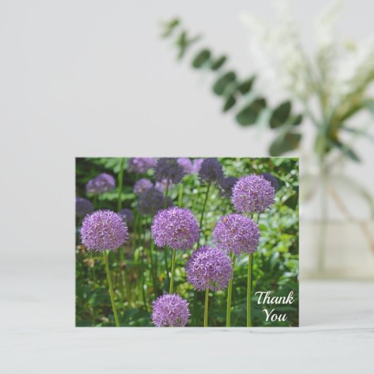 Carte Postale Groupe pourpre de fleurs Allium Merci (Debout devant)