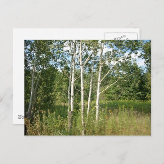 Carte postale groupée (Devant / Derrière)