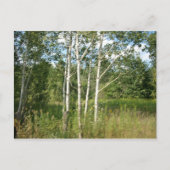 Carte postale groupée (Devant)