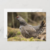 Carte Postale Groupement fier (Devant / Derrière)