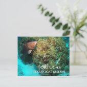 Carte Postale Groupement rouge en Corail, Réserve écologique de  (Debout devant)