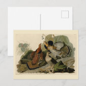 Carte Postale Grouse rouffé - d'Audubon's Birds of America (Devant / Derrière)
