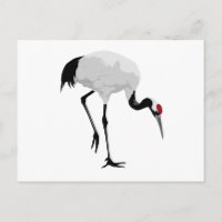 Grue à couronne rouge (alias Red-Crowned Crane) Gr