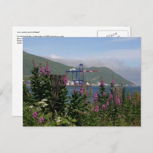 Carte Postale Grue APL en Hollande Harbour, Alaska (Devant / Derrière)