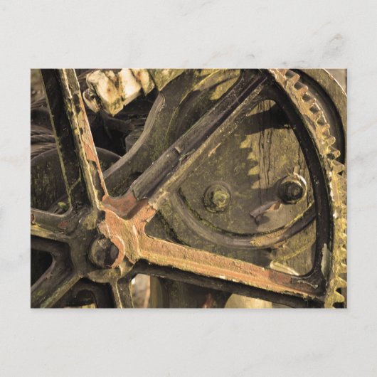 Carte Postale Grue oubliée (Devant)