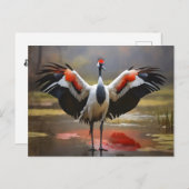Carte Postale Grue Red Crowned debout sur l'eau (Devant / Derrière)