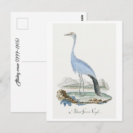 Carte Postale Grue Stanley (1777-1786) (Devant / Derrière)