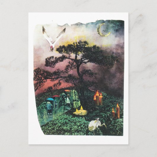 Carte Postale grues (Devant)