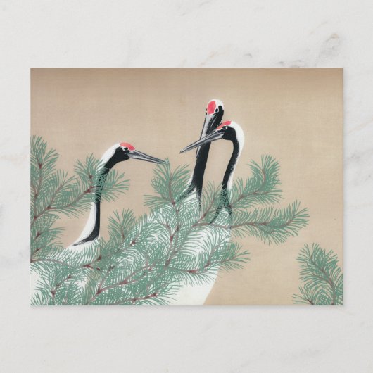 Carte Postale Grues (Devant)