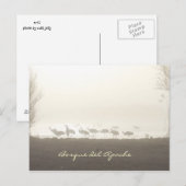 Carte Postale Grues dans la brume Bosque del Apache (Devant / Derrière)
