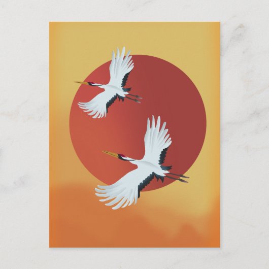 Carte Postale Grues du Japon (Devant)