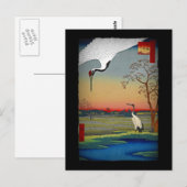 Carte Postale Grues et eau bleue (Devant / Derrière)