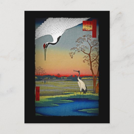 Carte Postale Grues et eau bleue (Devant)