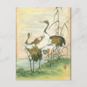 Carte Postale Grues orientales au bord de l'eau (Devant)