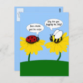 Carte Postale Grumpy Bee et Smitten Ladybug Postcard (Devant / Derrière)