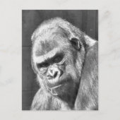 CARTE POSTALE GRUMPY GORILLA (Devant)