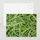 Carte Postale grüne Bohnen (Devant / Derrière)