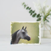 Carte Postale Grunge Arabian Horse (Debout devant)