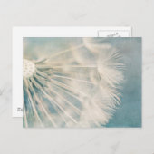 Carte Postale Grunge Dandelion (Devant / Derrière)