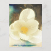 Carte Postale Grunge de fleurs de crocus (Devant)