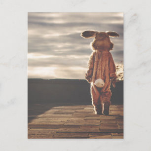 Carte Postale grunge de lapin