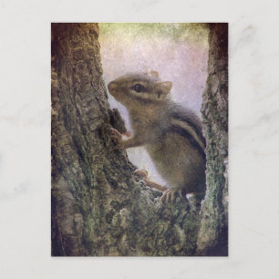 Carte Postale Grunge d'écureuil terrestre