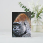 Carte Postale Grunge Lowland Gorilla Gros plan (Debout devant)